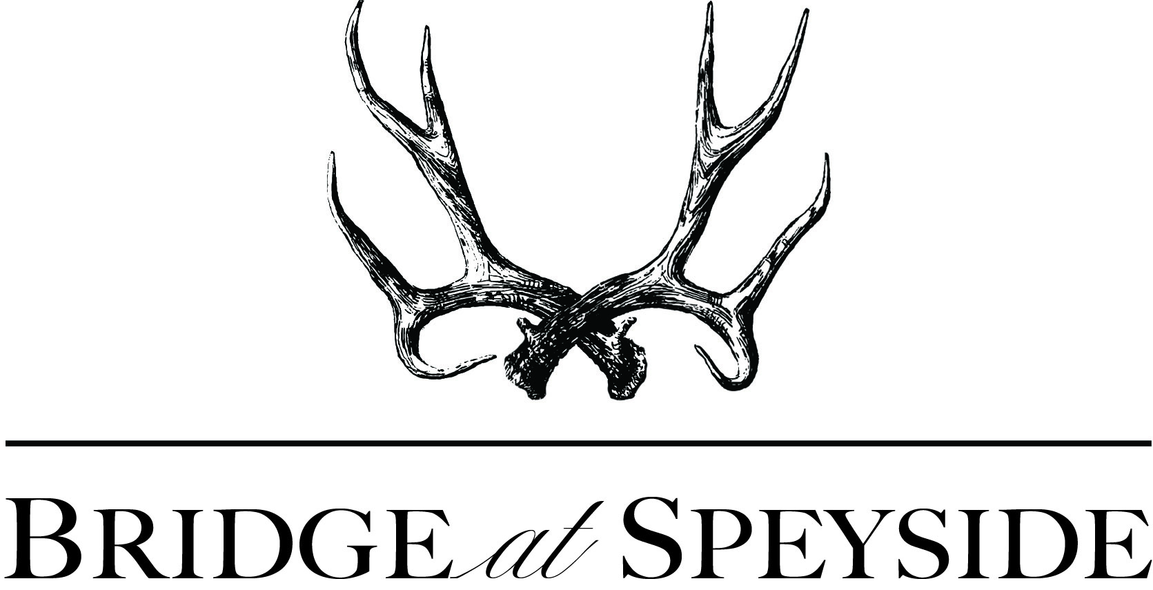Logo2 at Bridge at Speyside Apartments, Austin, TX, 78754
